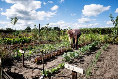 Eindelijk plek voor verbindingstuin Den Hoof; op de Baronie van Cranendonck