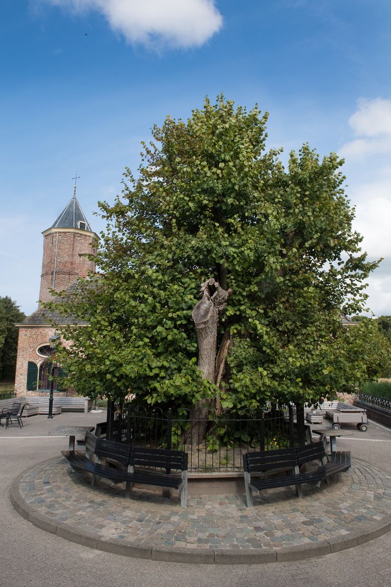 null Beeld Hans Menop / SBNL Natuurfonds
