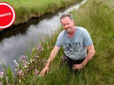 Plantje dat niet van stikstof houdt, duikt op naast veehouderij: hét teken dat landbouw en natuur naast elkaar kan bestaan?
