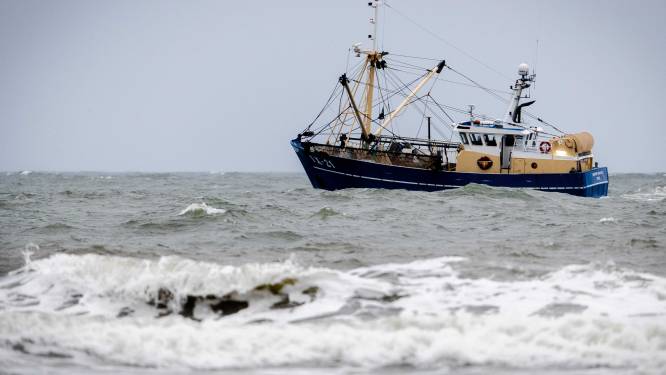 Europese Commissie bekritiseert controle van aanlandingsplicht voor Belgische vissers 