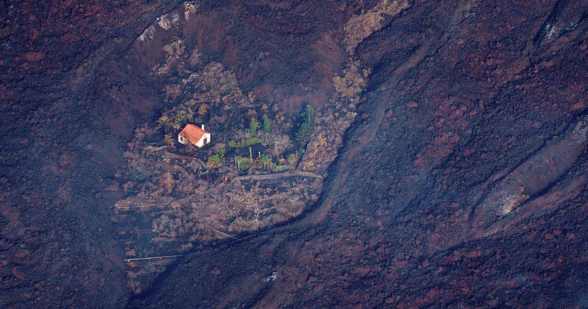 'Wonderhuisje' van Nederlandse dat vulkaan La Palma overleeft gaat de hele wereld over
