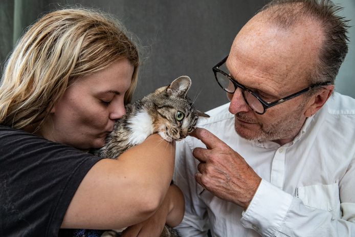 kant Dialoog Ideaal Paul (62) uit Deventer kapot van verdriet na vergiftiging van zijn jonge kat:  'Het is verschrikkelijk' | Deventer | destentor.nl