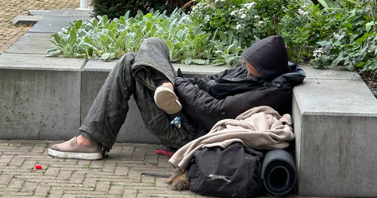 Municipality of Almelo Bans Homeless from Sleeping on the Streets