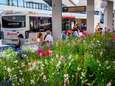 Tilburg wil gesprek met Arriva over schrappen busdiensten, ‘Tegenstrijdige beweging’