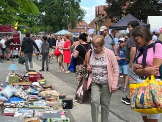 Wat te doen in Brussel, de Rand en het Pajottenland dit weekend: van rommelmarkt tot een open air