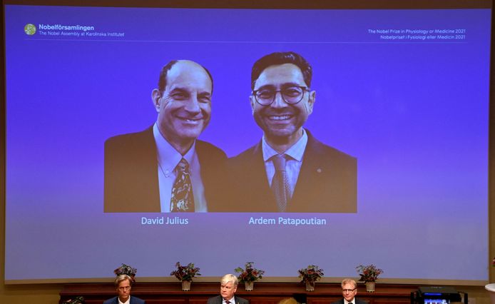 David Julius (à gauche) et Ardem Patapoutian, lors d'une conférence de presse à l'Institut Karolinska de Stockholm, en Suède, le 4 octobre 2021.