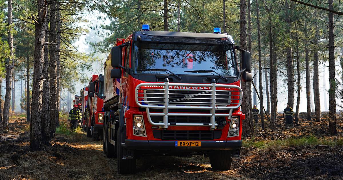 Brand in restaurant Beekse Bergen door gaslek | Brabant ...