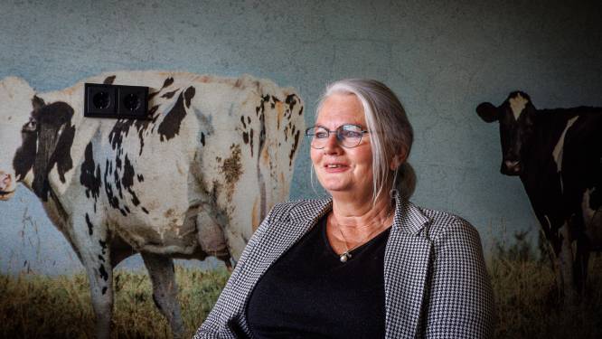 ‘Nog wel gaan stemmen, hè’, roept wethouder Tiny Bijl uit Giethoorn terwijl ze in de ambulance ligt