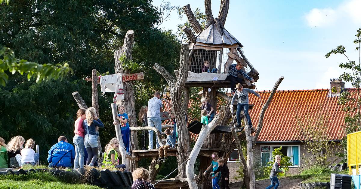 Zandweerd-Noord gaat op safari: zoeken naar te hete plekken en naar oplossingen om af te koelen