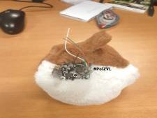 Ouders in shock: man geeft kindje (2) speelgoedbeer waarin camera en microfoon zitten