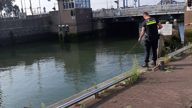 Koepaardbrug moet worden gerenoveerd: zwaar verkeer voorlopig niet welkom