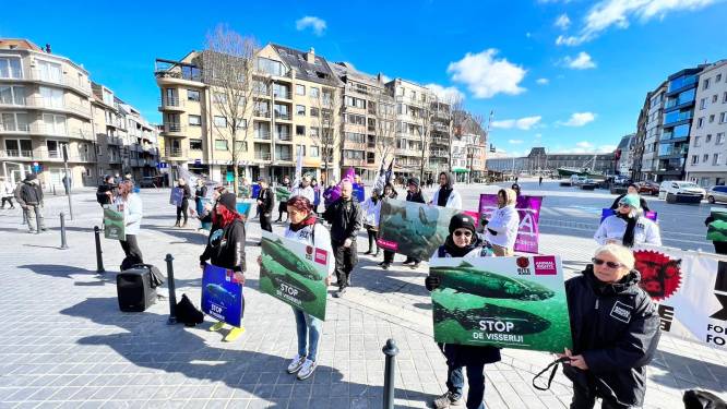 Dierenrechtenorganisaties voeren actie tegen de komst van zalmkwekerij in Oostende: “Het wordt tijd om dit vissenleed ernstig te nemen”
