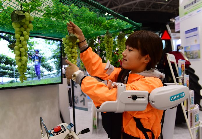 Kubota is een van de grotere machineproducenten van Japan.