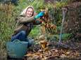 Dit is hét geheim voor een stralende tuin