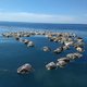 300 dode schildpadden gevonden in visnet aan zuidkust Mexico