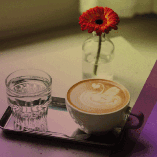 No need to apologize for stirring sugar into your latte art swan at Cheeky