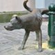 Hondenstandbeelden: de mondiale verering van de hond