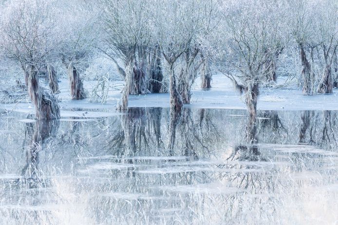 Lake of ice (Ijsmeer) van Cristiano Vendramin, Wildlife Photographer of the Year.