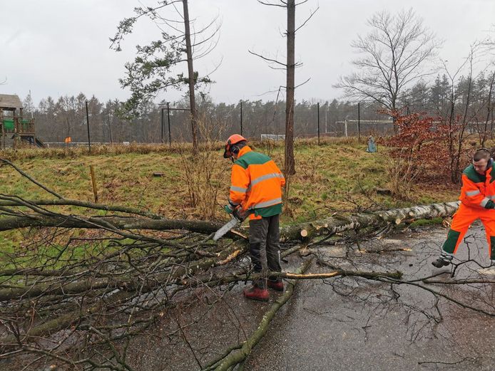 In Sportpark Orderbos bij Apeldoorn lag een boom over de weg.