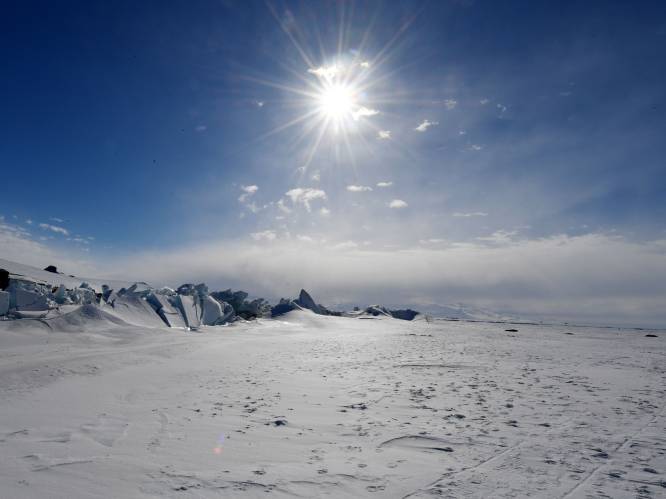280 miljoen jaar oud bos ontdekt op Antarctica