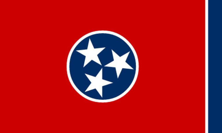 De vlag van Tennessee. Beeld rv