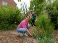 José de Ruijter trok bij Annie Kwakkel (achtergrond) aan de bel toen ze het stadstuintje in Zwolle zag verrommelen. ,,Het zou echt zonde zijn als dit weggaat.’’