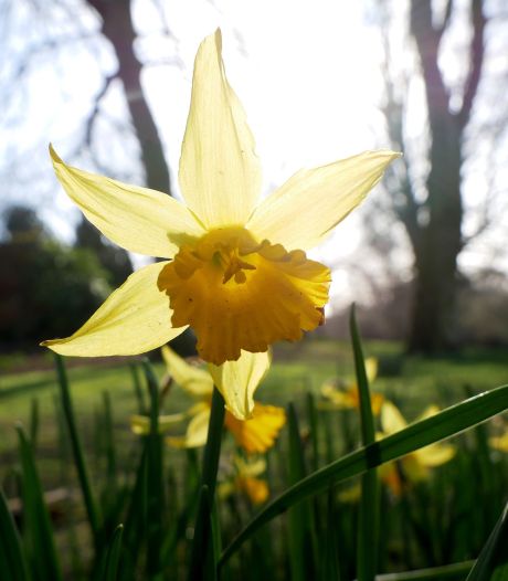 Deux dates différentes, pas le 21 mars avant la fin du siècle: en fait, c’est quand le début du printemps? 