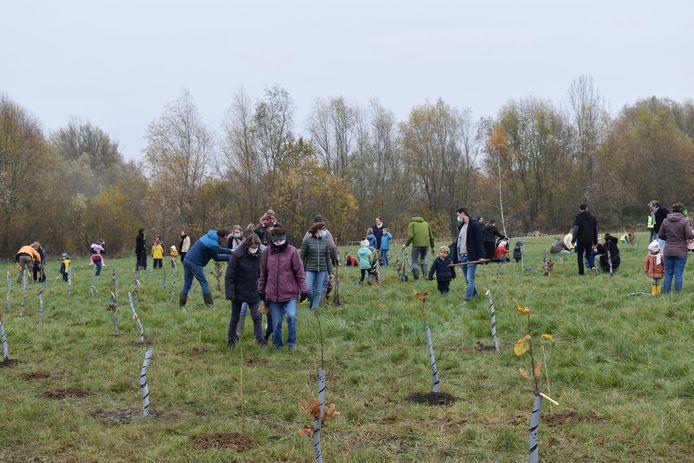 Aanplant geboortebos Oosterzele