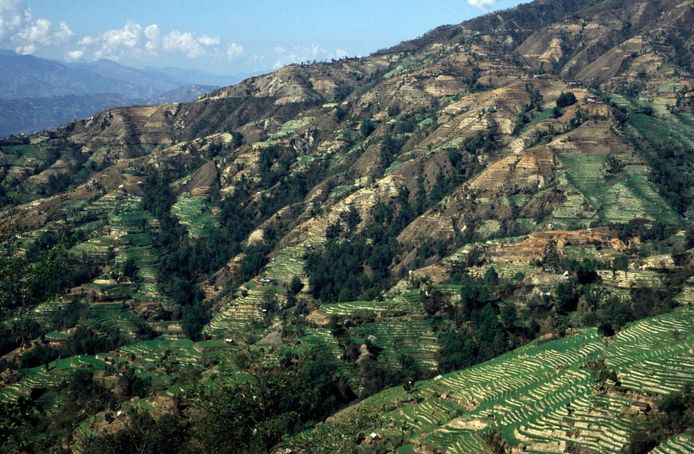 Terrasbouw in de Himalaya