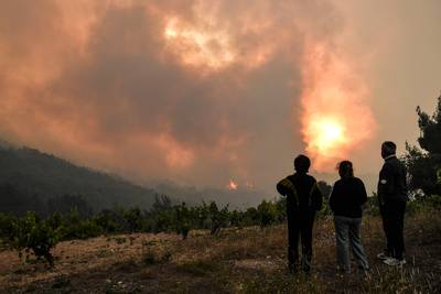 Bosbranden teisteren Griekse eiland Kefalonia