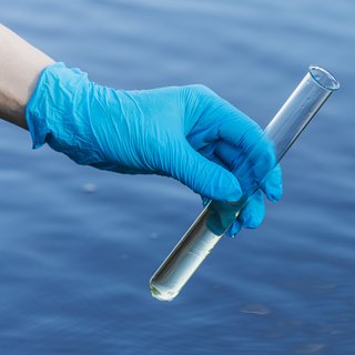 Amsterdam sewage contains highest levels of ketamine and MDMA in Europe