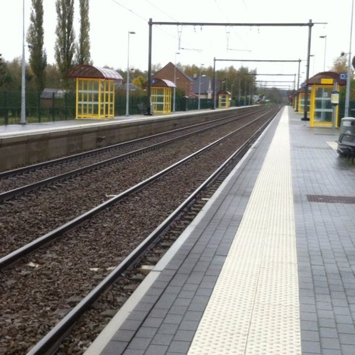 L'adolescent a fait le trajet d'Appelterre jusqu'à Liège en train