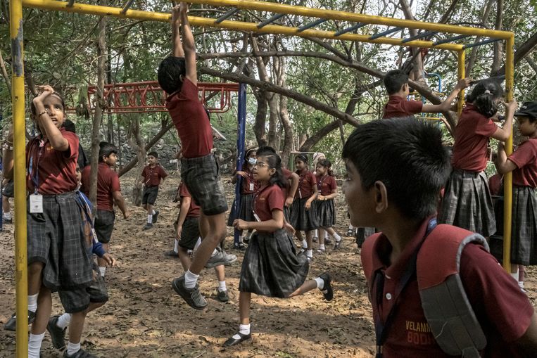 Schoolkinderen in Chennai. Met een populatie van bijna 1,4 miljard inwoners zal India China weldra inhalen als dichtstbevolkte land wereldwijd. Beeld NYT