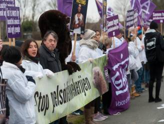 Vreedzaam protest aan nertsenfokkerij