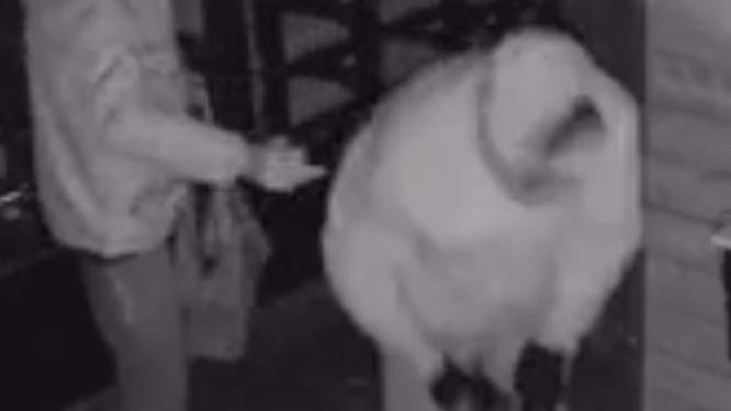 Inbrekers maken eierautomaat in Soest kapot, maar nemen niks mee 