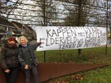 Bewoners Arnhemse wijk Elderveld in actie tegen bomenkap: ‘Onze burgerrechten worden geschonden’