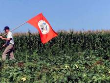 Monsanto condamné à verser 250.000 pour publicité mensongère