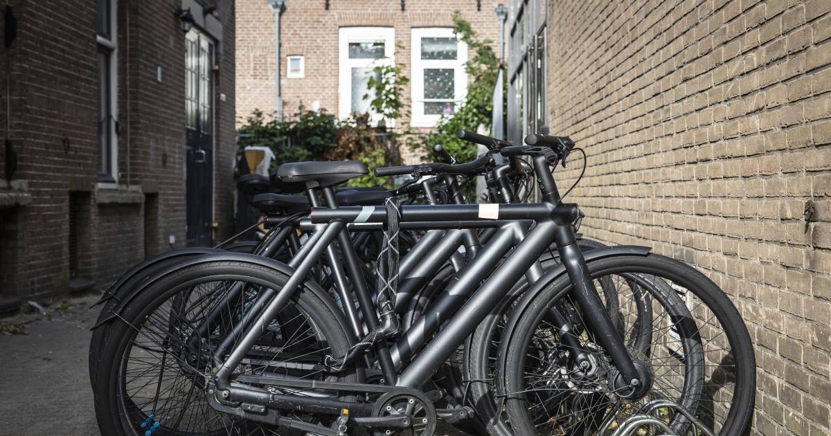 The LaVoie | brand has been acquired by bankrupt VanMoof  Economy