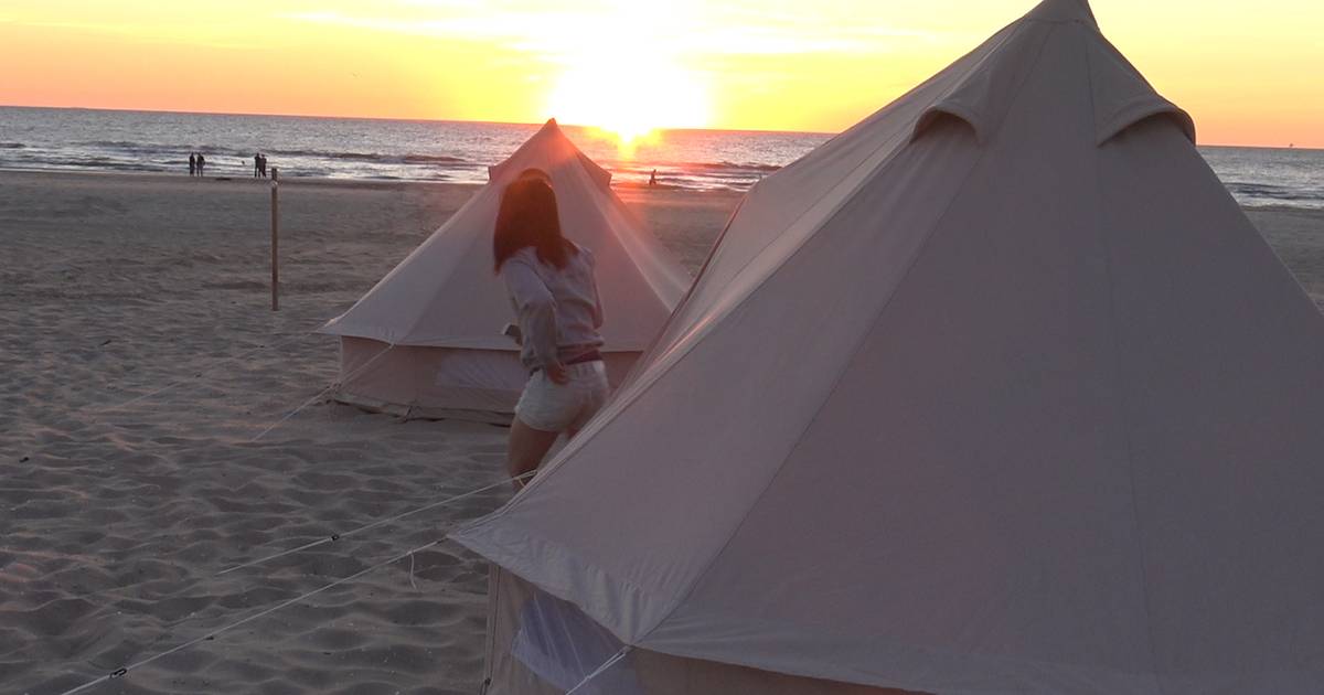 hoed min Gezamenlijke selectie Uniek: Op deze camping mag je gewoon in een tent op het strand slapen | Den  Haag | AD.nl