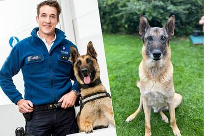 Andy Peelman neemt afscheid van partner in crime, hond Barry: “Je was de ster van het programma”