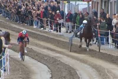 Fotofinish! Europees kampioen tijdrijden Alec Segaert neemt het in Sint-Eloois-Winkel op tegen ... een renpaard