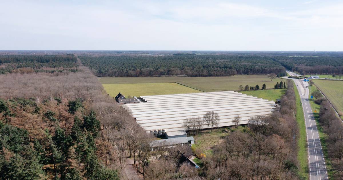 Wijk voor arbeidsmigranten buiten Vlierden lijkt er alsnog te komen door andere route