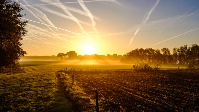 Eindelijk het is weer vroeger en langer licht! En dat is belangrijk voor onze gezondheid