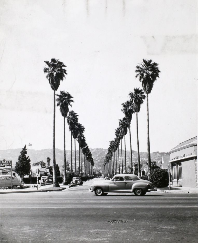 Los Angeles in de jaren 50. Beeld Getty Images