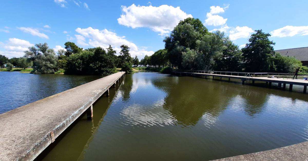 Blauwalg in het zwemwater van de Lange Kolk. Geen waterpret in Den Nul de rest van de zomer?