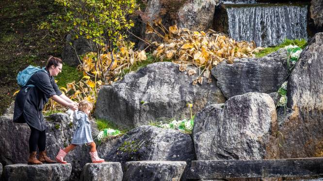 Japanse Tuin trekt 14.000 bezoekers méér dan vorig jaar: “Opnieuw bezoekersrecord”
