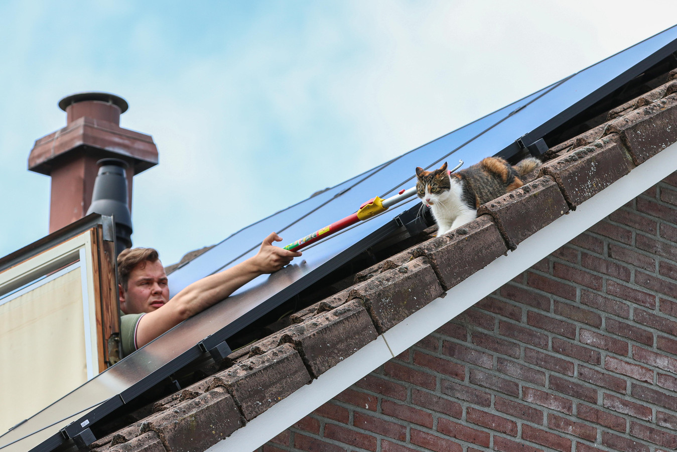Brandweerlieden proberen kat Kitty met een stok van het dak te halen.