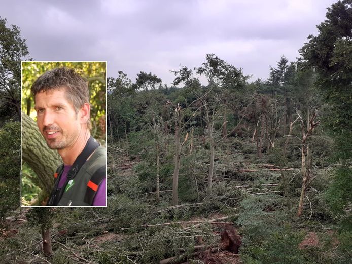 Deel Van Lombokbos Bij Leersum Weggevaagd Door Storm Er Is Niks Meer Van Over Utrecht Gelderlander Nl