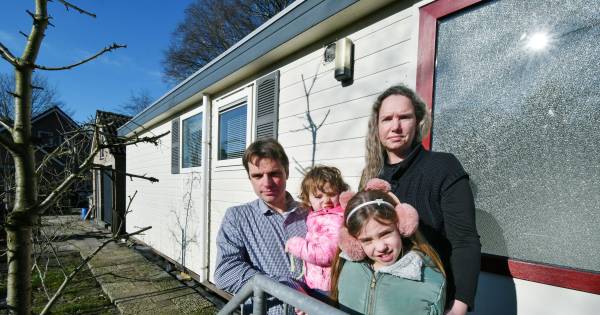 Gezin uit Aadorp, 'ziek van pur', wil dat Pluimers opdraait voor schoonmaak huis - Tubantia