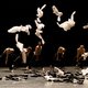 De opening van het Holland Dance Festival legt de nadruk op the sunny side van moderne dans ★★★★☆